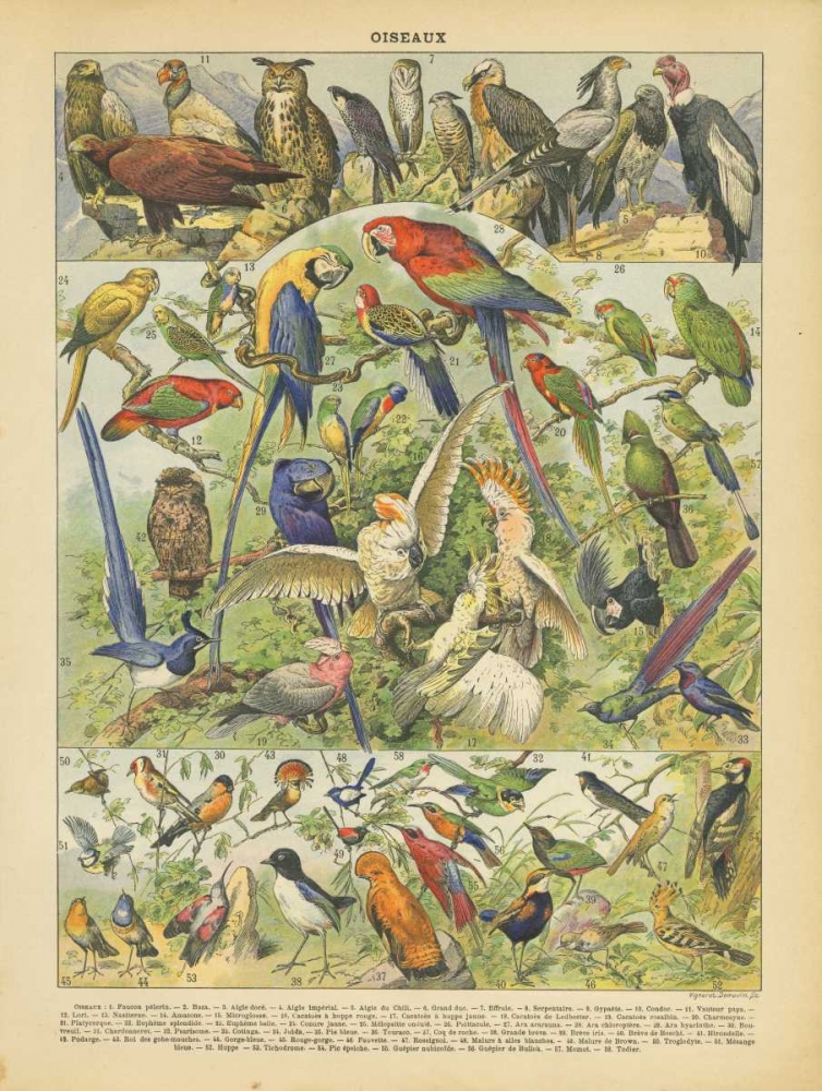 Wall Art Painting id:143216, Name: Oiseaux II, Artist: Babbitt, Gwendolyn