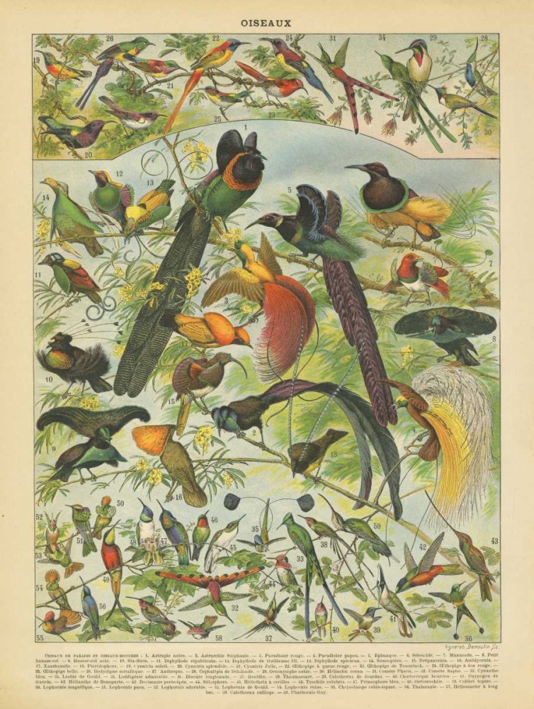 Wall Art Painting id:143217, Name: Oiseaux III, Artist: Babbitt, Gwendolyn