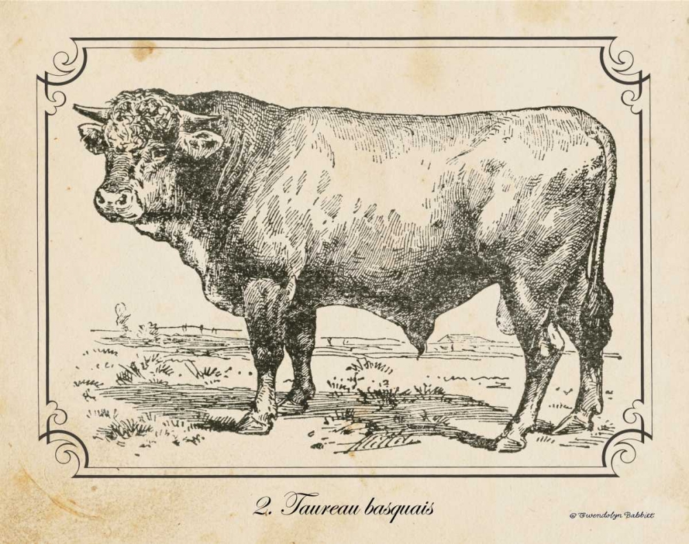 Wall Art Painting id:143245, Name: Farm Bull II, Artist: Babbitt, Gwendolyn