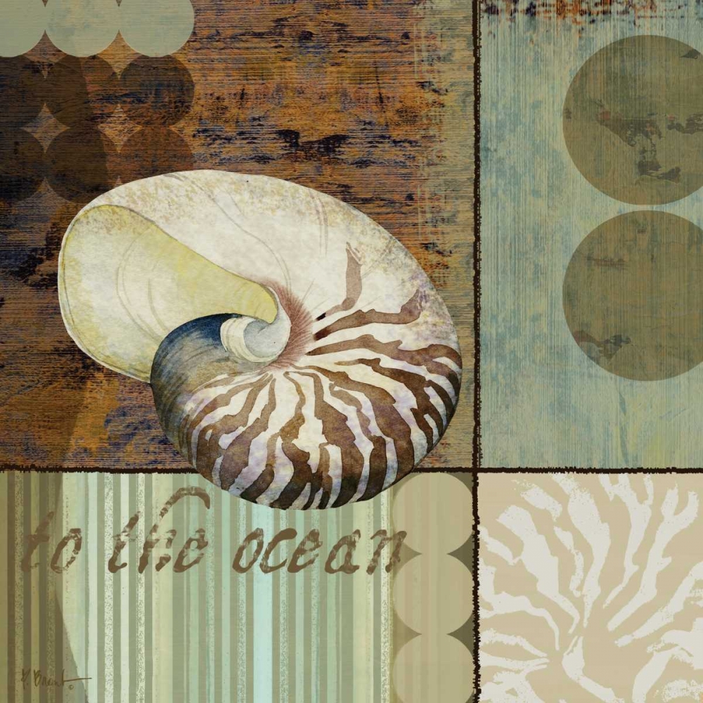 Wall Art Painting id:4305, Name: Contemporary Shell II, Artist: Brent, Paul