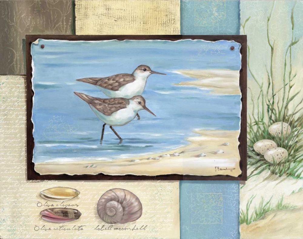 Wall Art Painting id:4348, Name: Sandpiper Collage I, Artist: Brent, Paul
