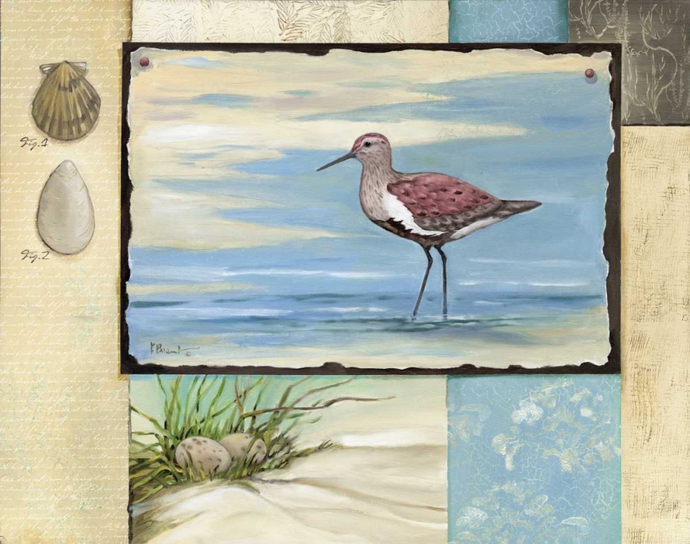 Wall Art Painting id:4349, Name: Sandpiper Collage II, Artist: Brent, Paul