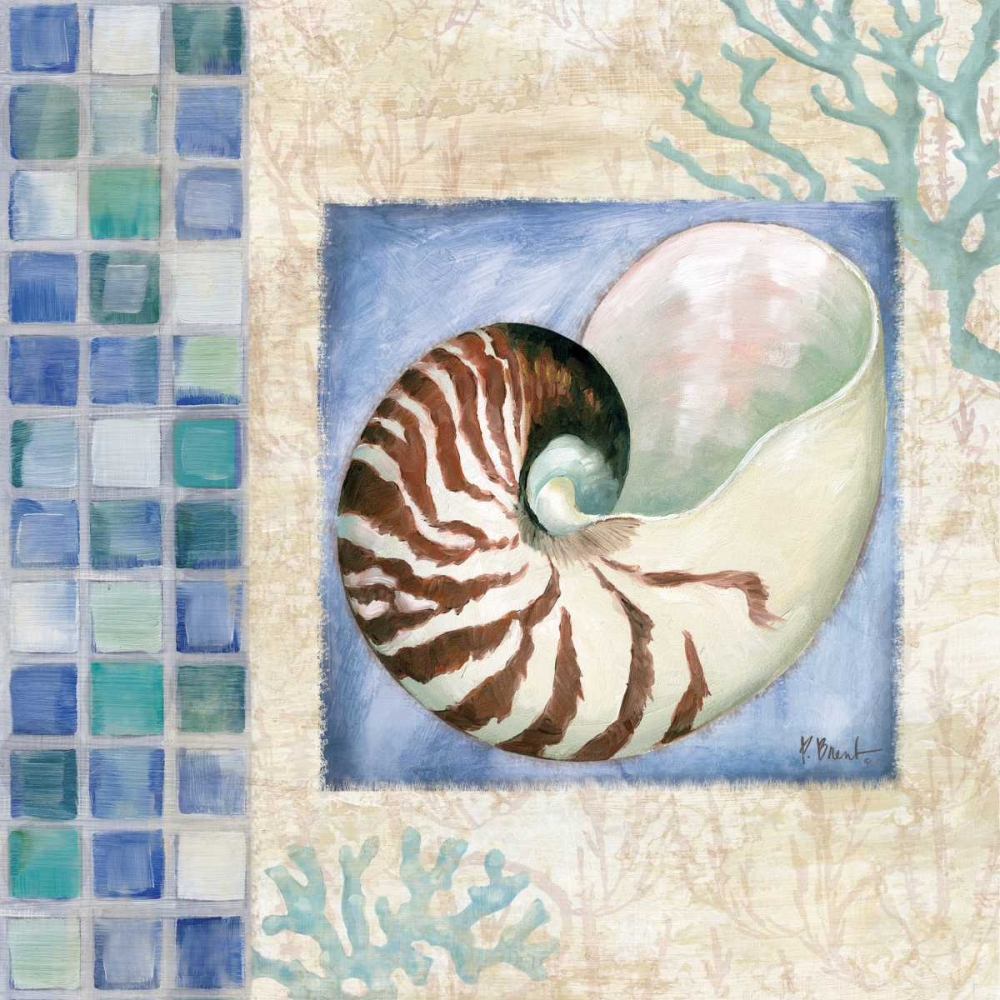 Wall Art Painting id:143625, Name: Mosaic Shell Collage V, Artist: Brent, Paul