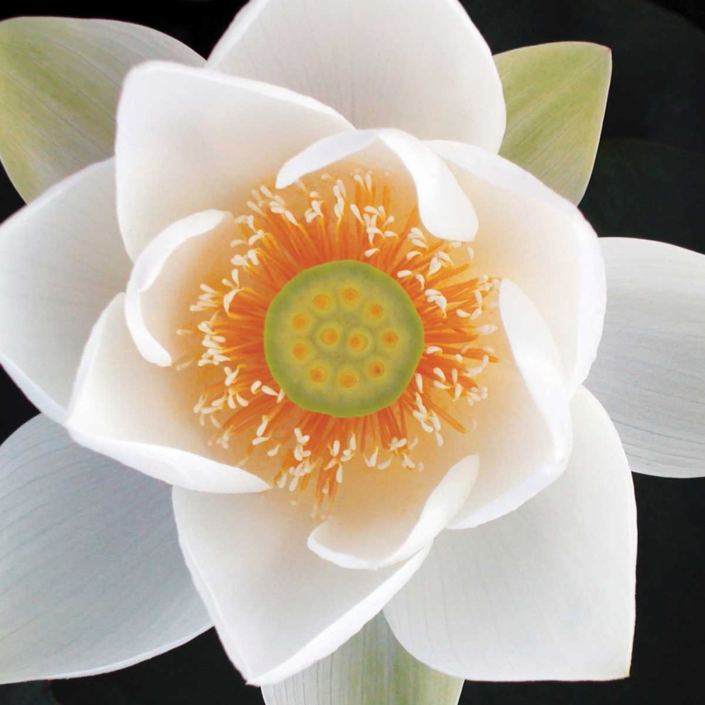 Similar wall art painting: 144214