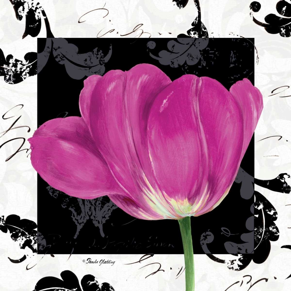 Art Print: Damask Tulip II
