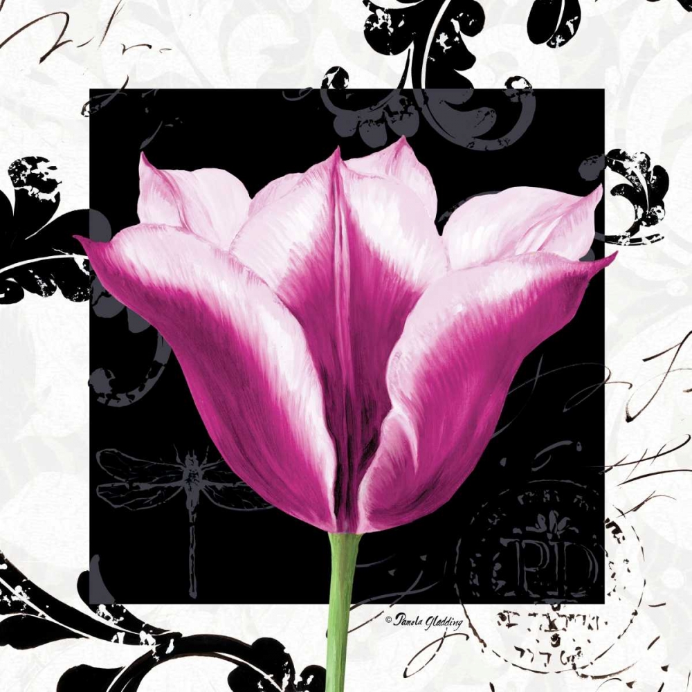 Art Print: Damask Tulip III