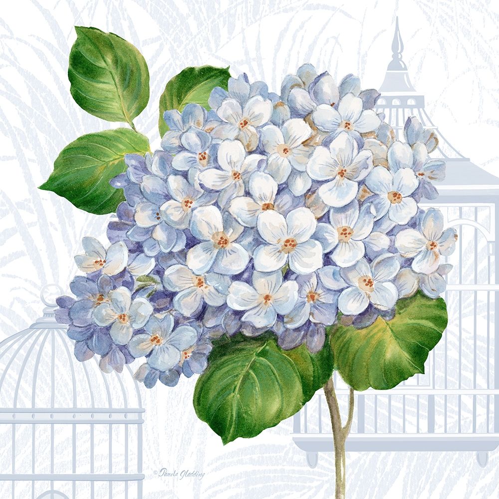 Wall Art Painting id:364723, Name: Hydrangea Cages II, Artist: Gladding, Pamela