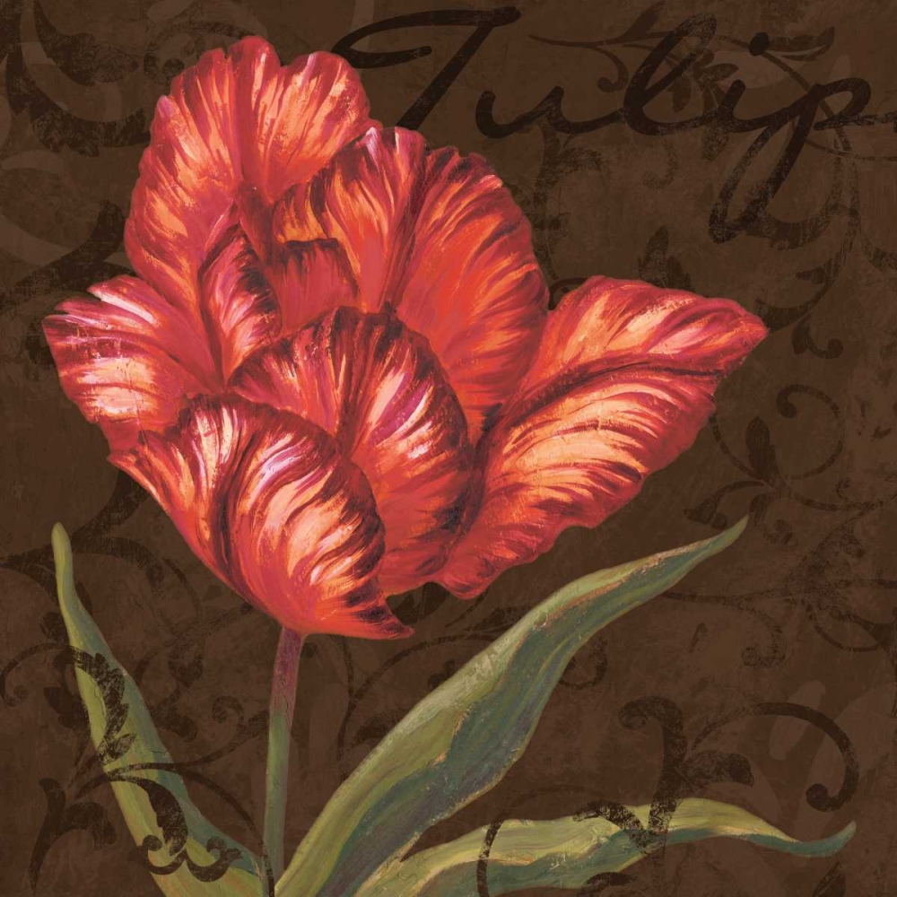 Art Print: Tulipa I