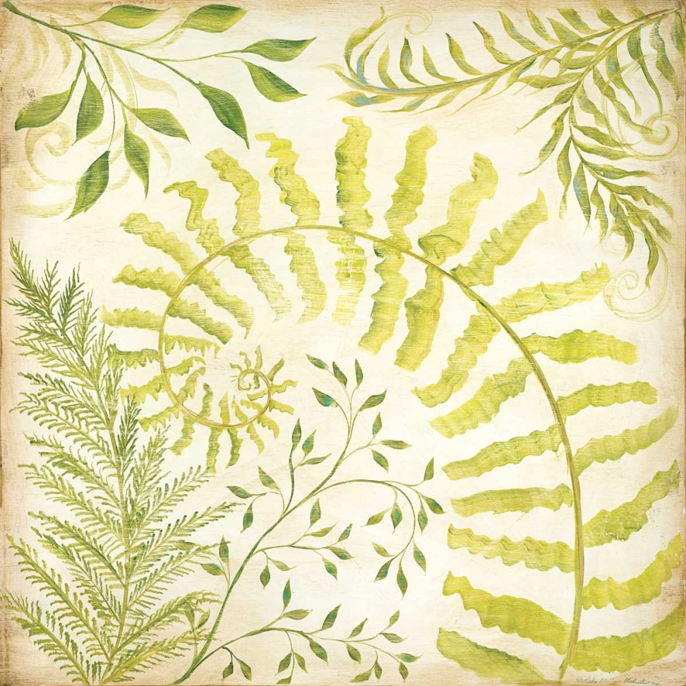 Wall Art Painting id:19734, Name: Fern Botanical II, Artist: McRostie, Kate