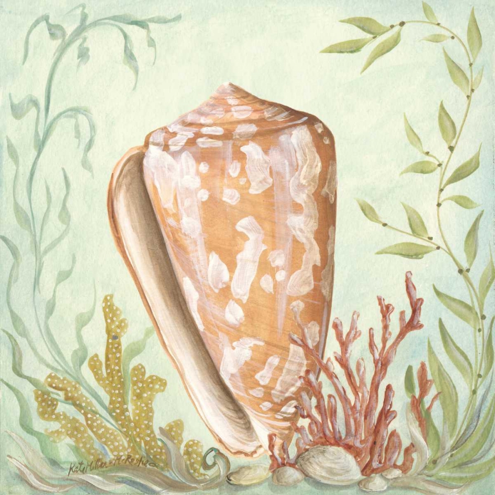 Wall Art Painting id:144823, Name: Seashells and Coral IV, Artist: McRostie, Kate
