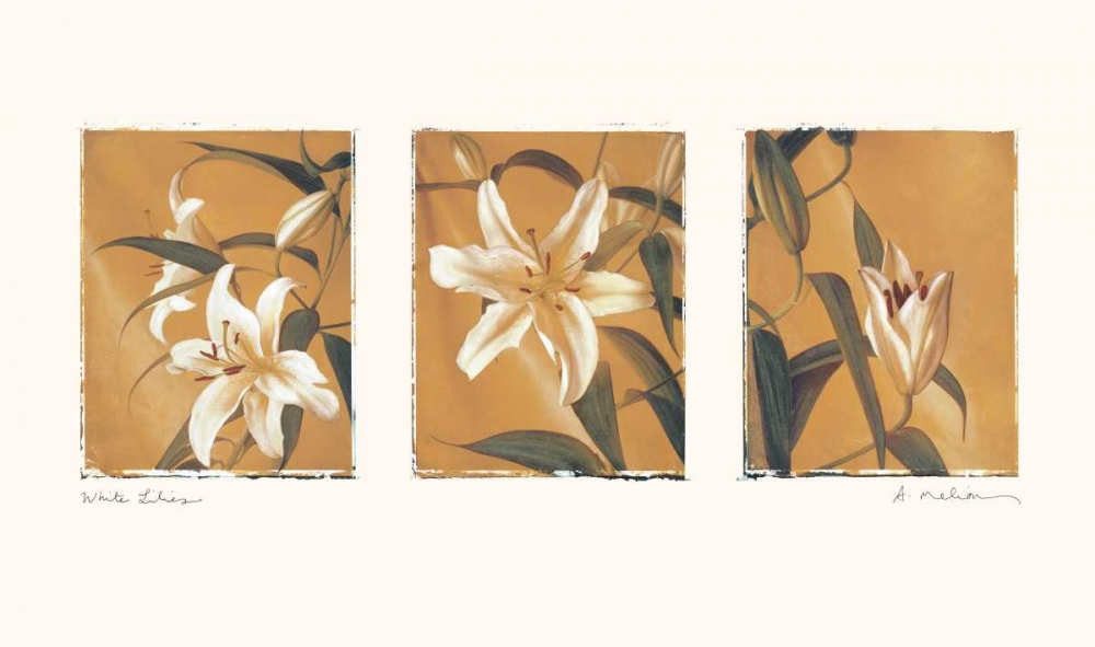 Wall Art Painting id:5451, Name: White Lilies, Artist: Melious, Amy