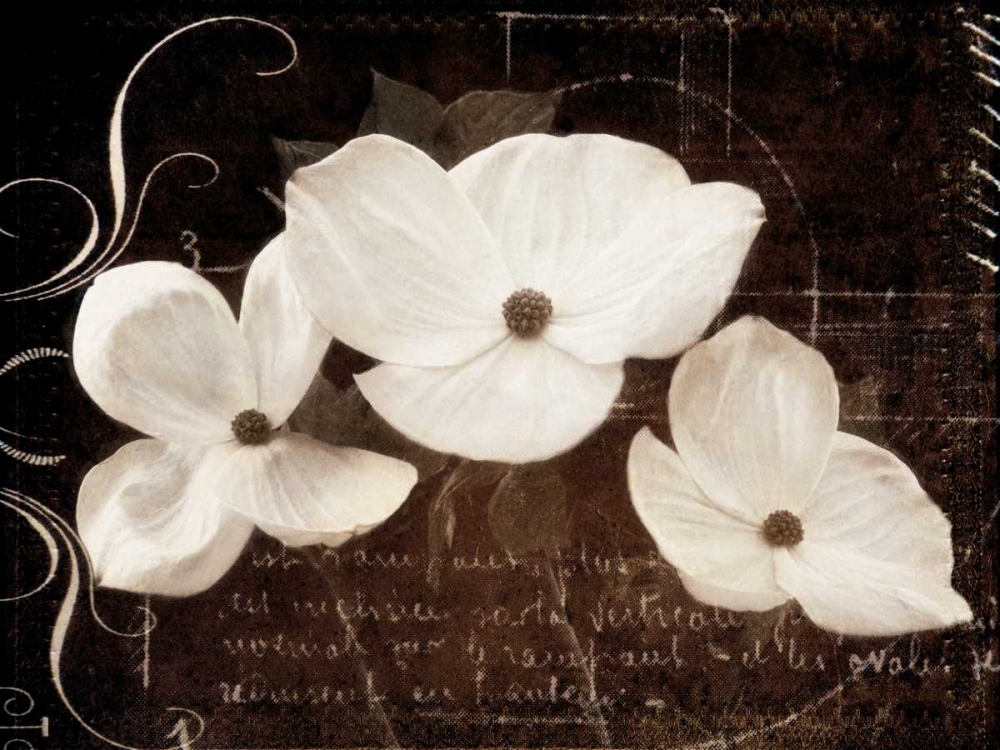 Similar wall art painting: 5996