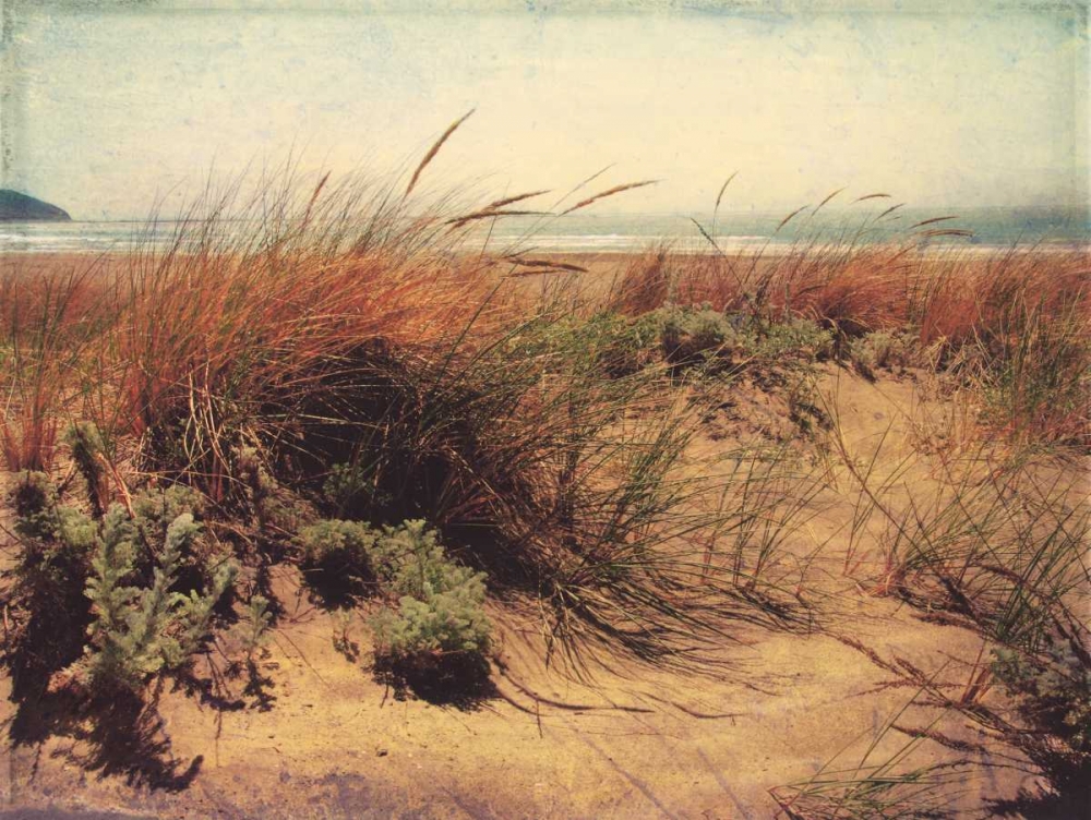 Wall Art Painting id:6022, Name: Sand Dunes I, Artist: Melious, Amy