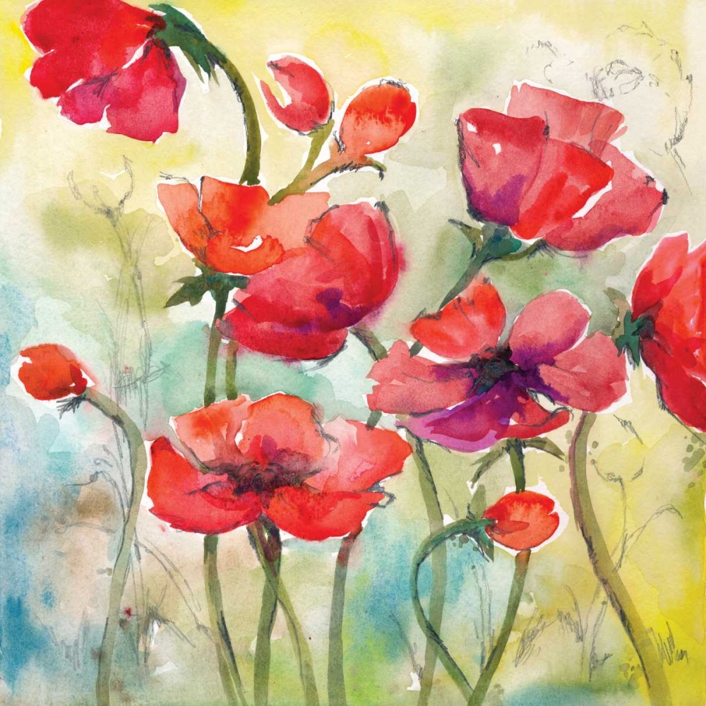 Wall Art Painting id:144927, Name: Poppy Study I, Artist: Ferry, Margaret