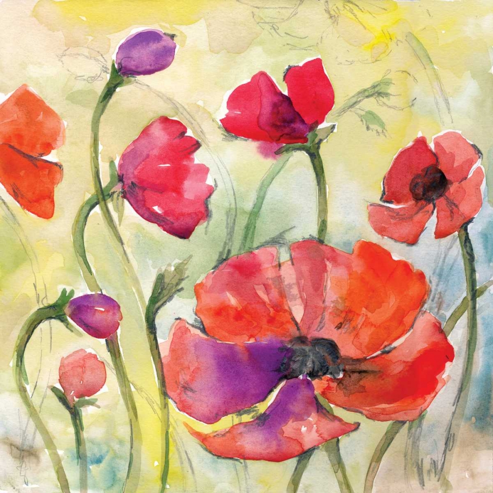 Wall Art Painting id:144928, Name: Poppy Study II, Artist: Ferry, Margaret