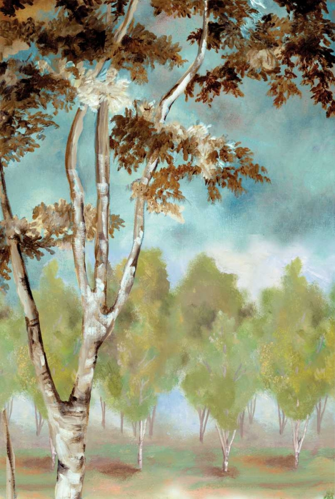 Wall Art Painting id:144941, Name: Birch Forest I, Artist: Ferry, Margaret