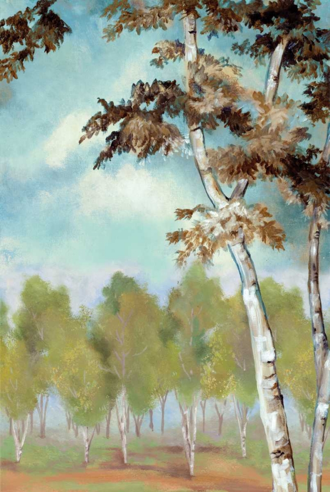 Wall Art Painting id:144942, Name: Birch Forest II, Artist: Ferry, Margaret