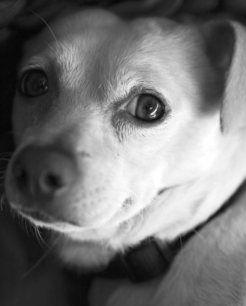 Similar wall art painting: 144959