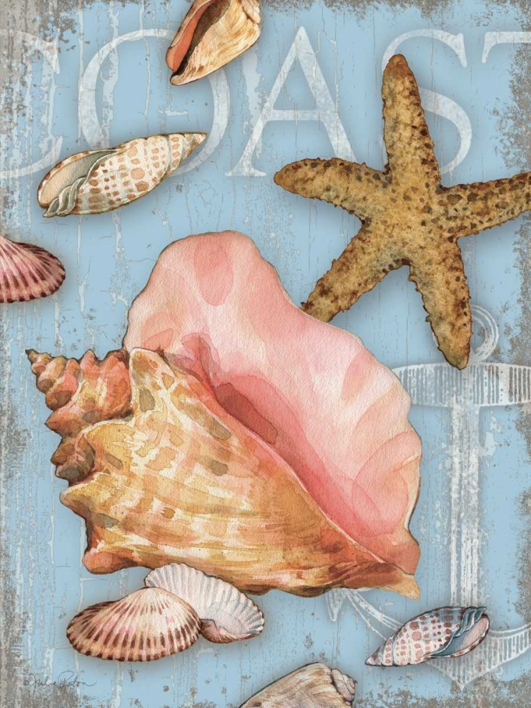 Art Print: Beach Shells Coast