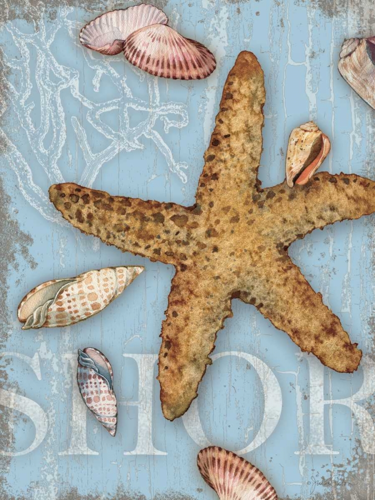 Art Print: Beach Shells Shore