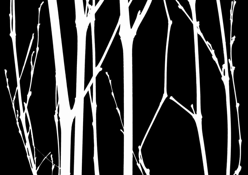 Similar wall art painting: 145175