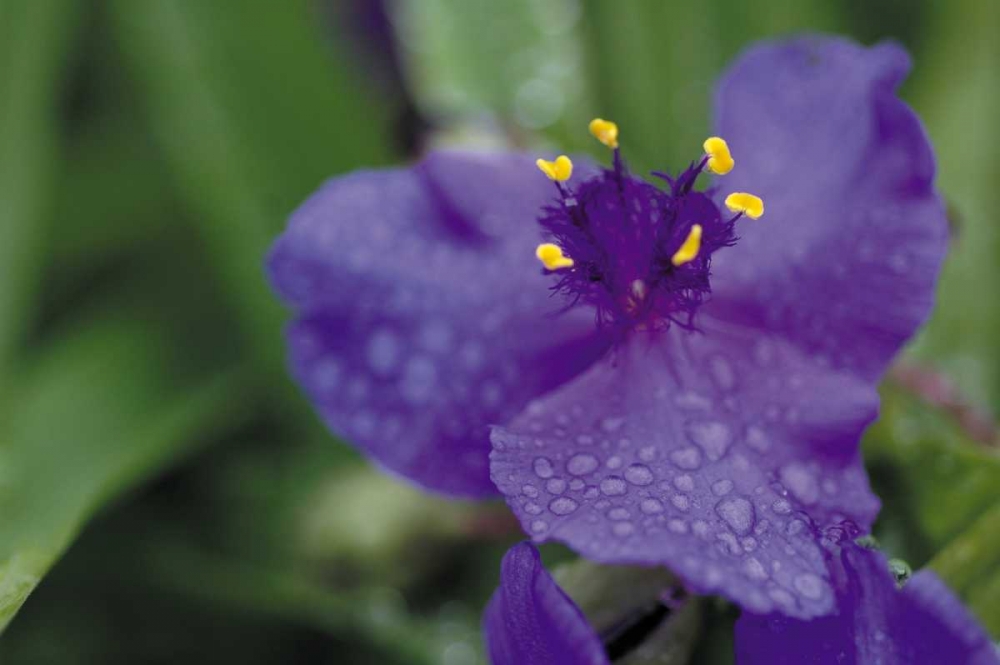 Similar wall art painting: 14