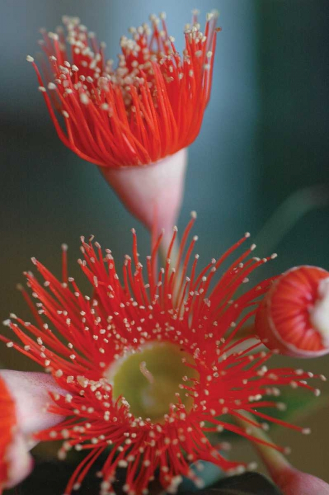 Similar wall art painting: 18