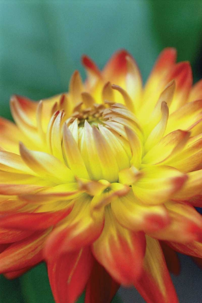 Similar wall art painting: 20