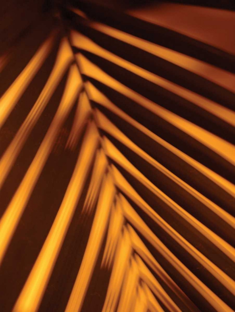 Similar wall art painting: 23