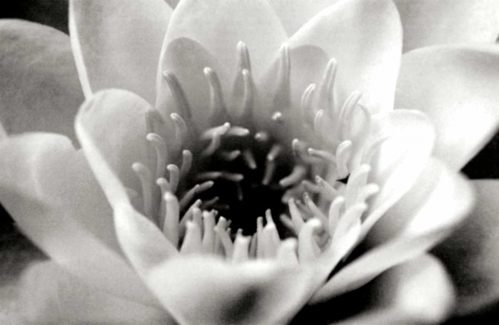 Similar wall art painting: 25