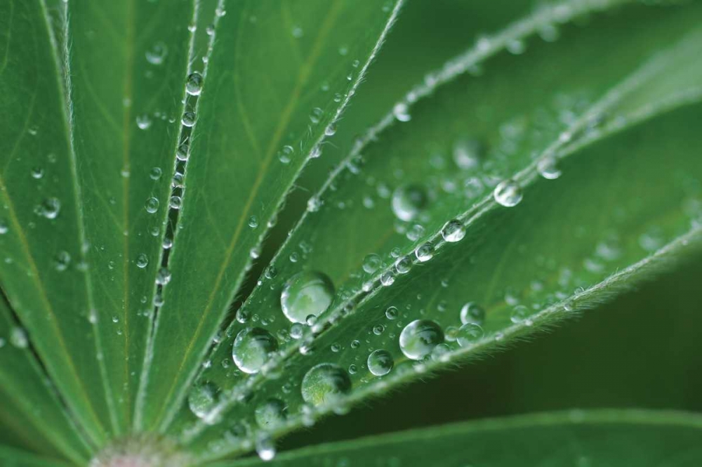 Similar wall art painting: 27