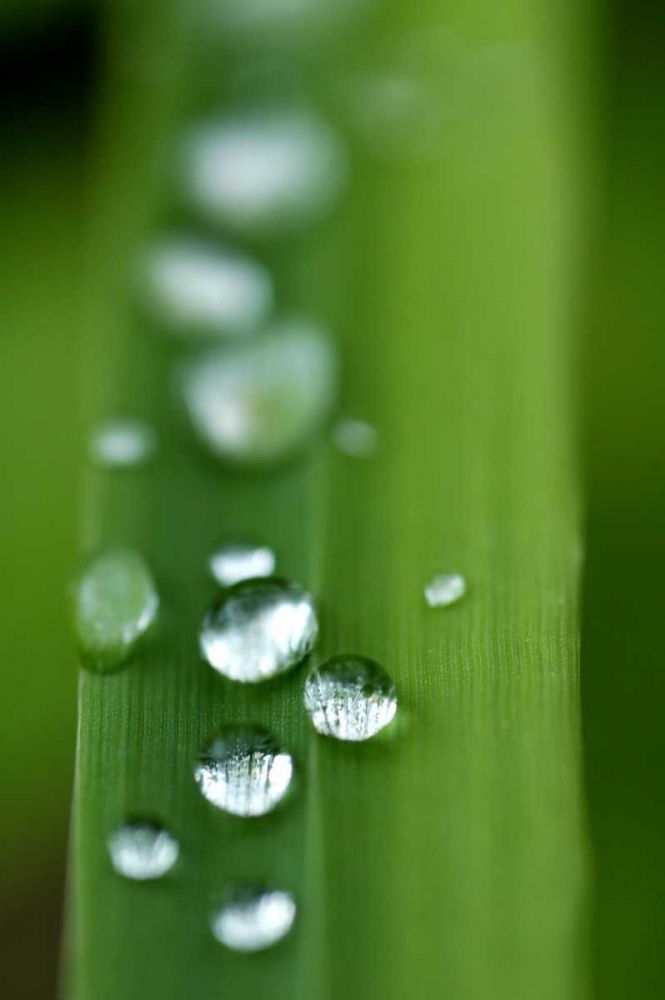 Similar wall art painting: 28