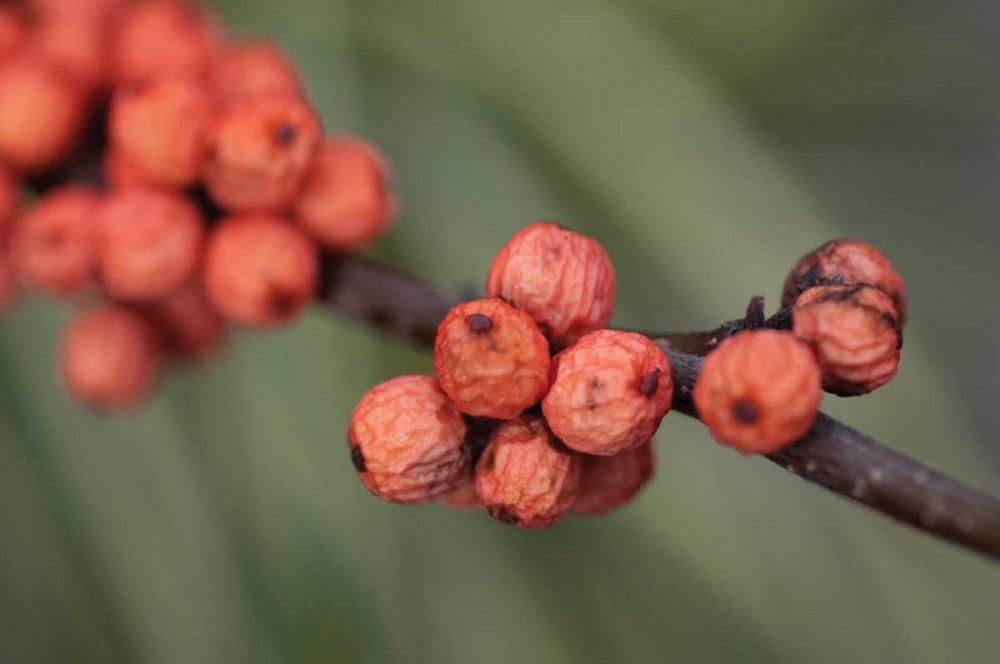 Similar wall art painting: 40