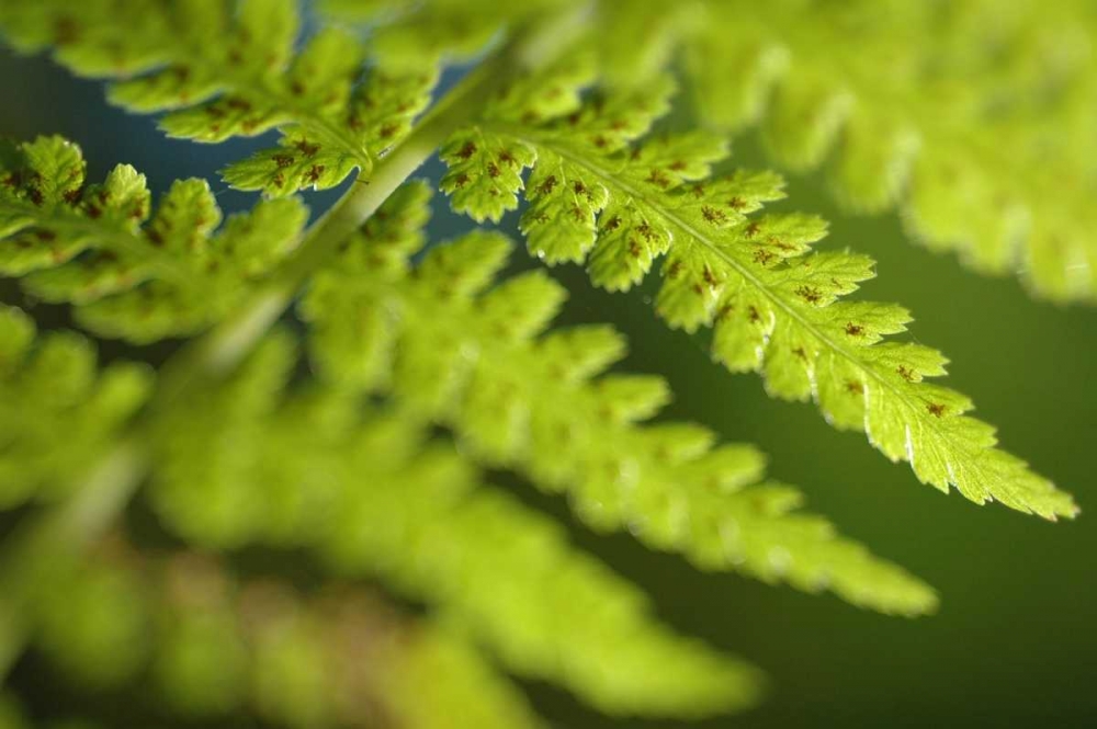 Similar wall art painting: 45