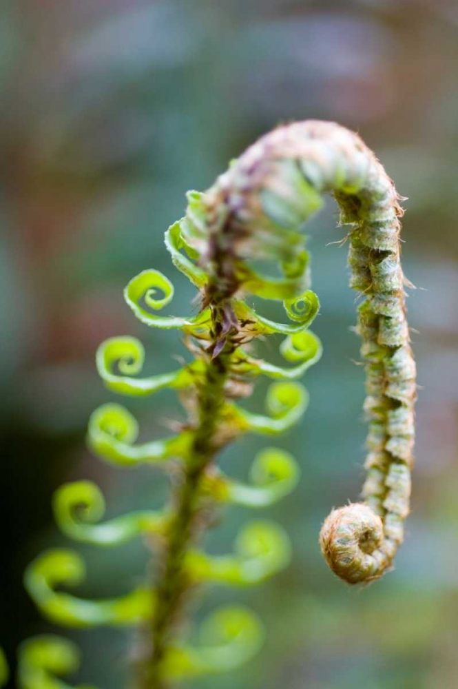 Similar wall art painting: 46