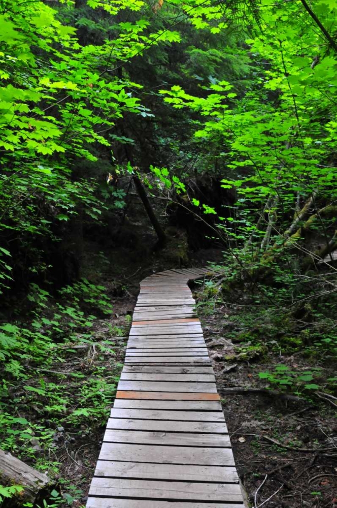 Similar wall art painting: 62