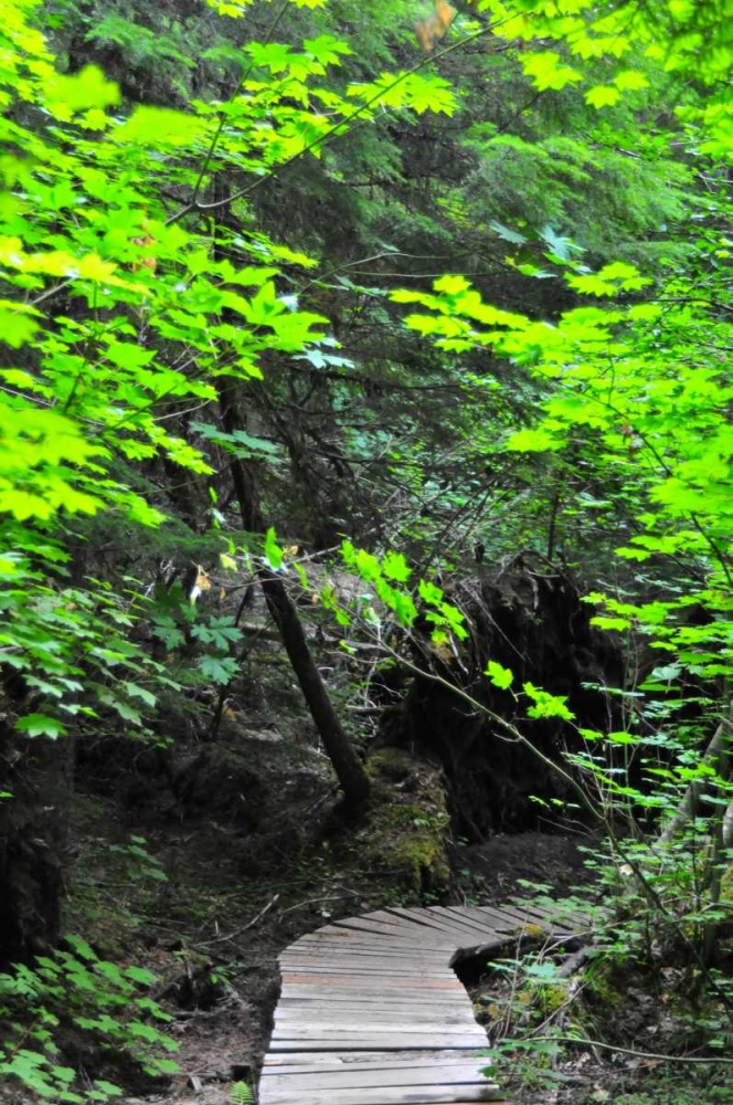 Similar wall art painting: 63