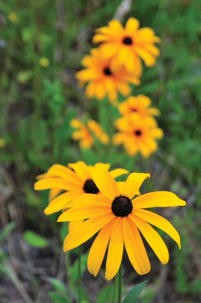 Similar wall art painting: 67