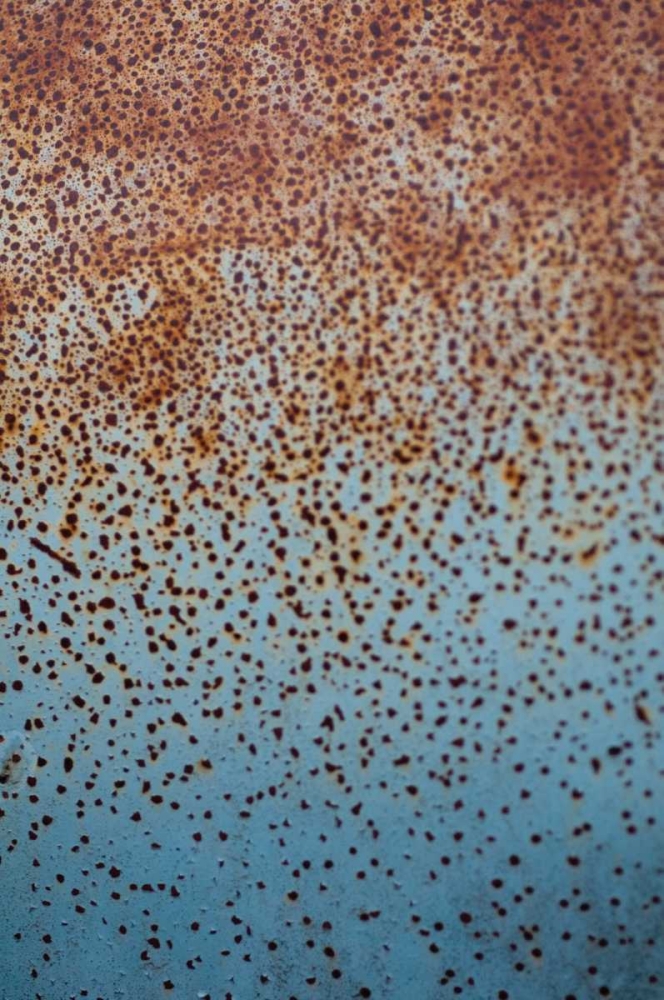 Wall Art Painting id:107, Name: Rust on Antique Car I, Artist: Berzel, Erin