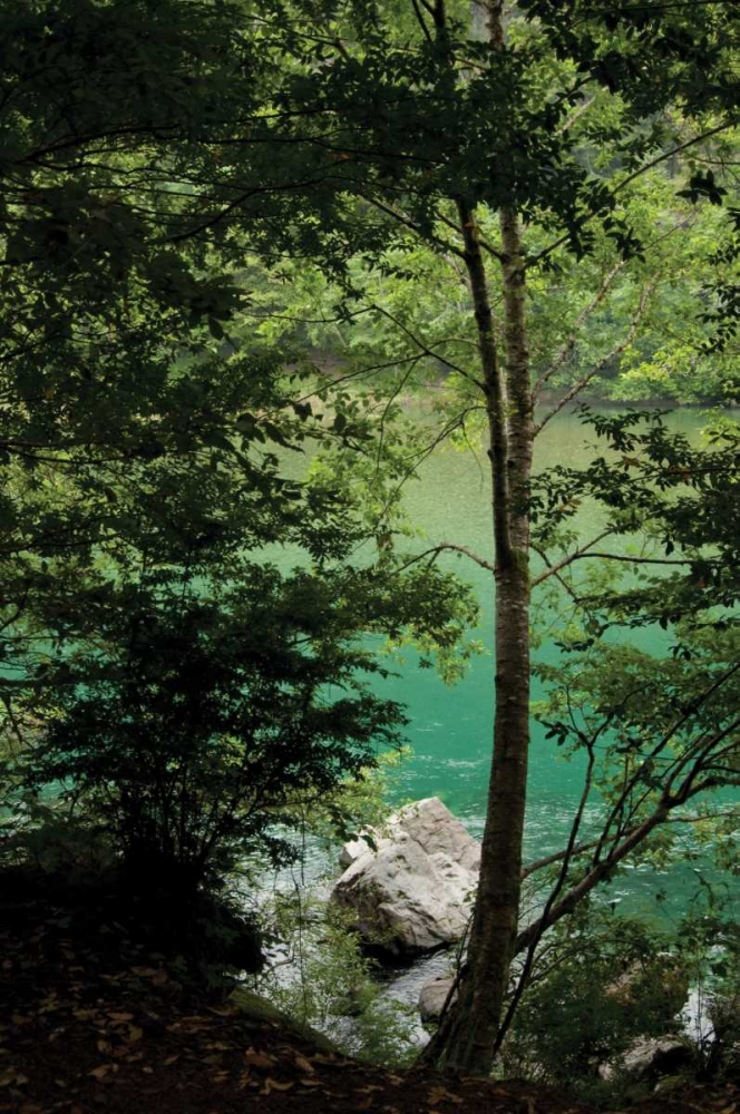 Similar wall art painting: 119