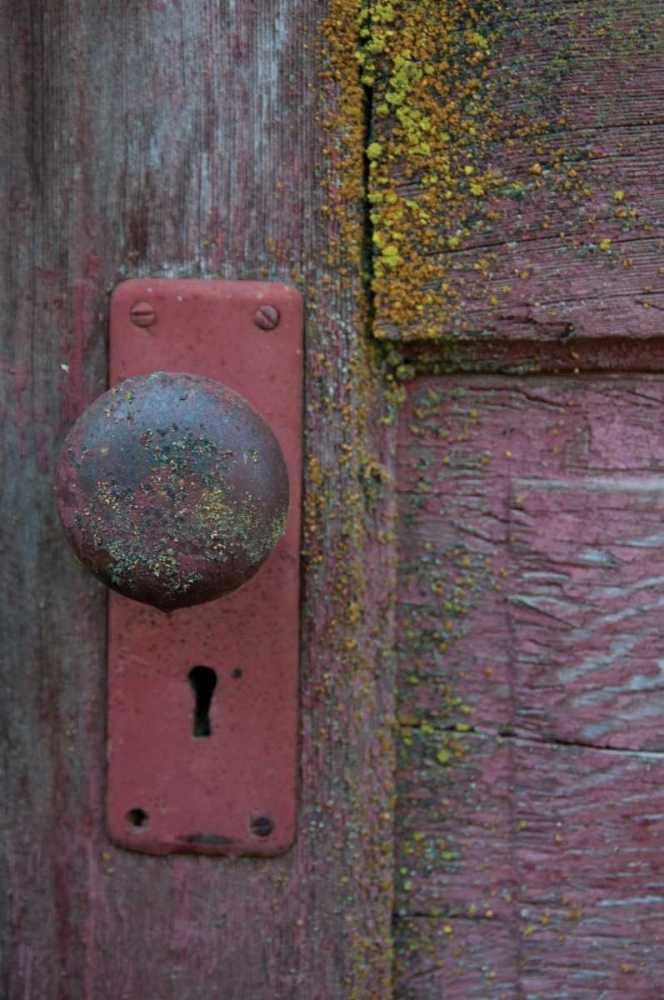 Wall Art Painting id:129, Name: Barn Door, Artist: Berzel, Erin