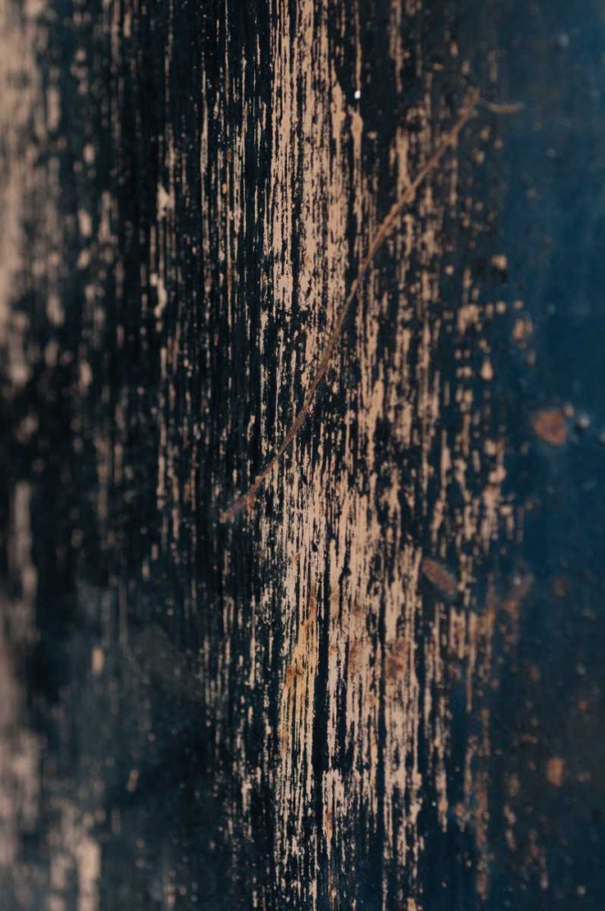 Similar wall art painting: 132