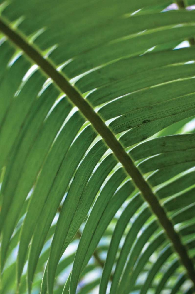 Similar wall art painting: 156