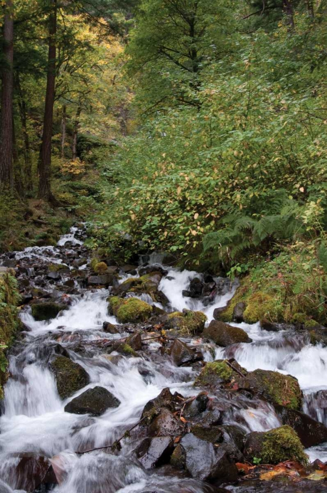 Wall Art Painting id:172, Name: Wahkeena Falls II, Artist: Berzel, Erin