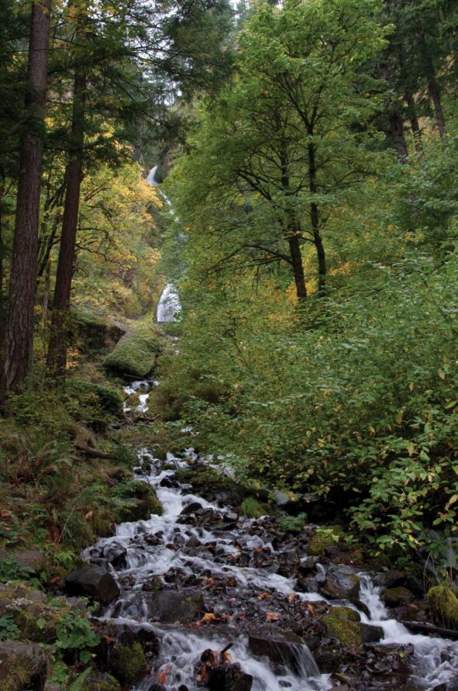 Similar wall art painting: 173