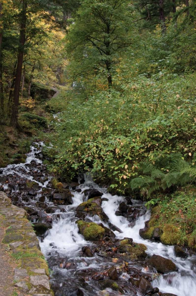 Wall Art Painting id:174, Name: Wahkeena Falls IV, Artist: Berzel, Erin