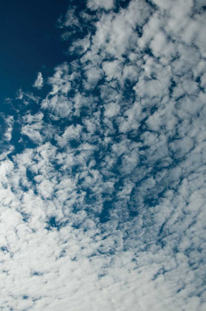 Similar wall art painting: 1071