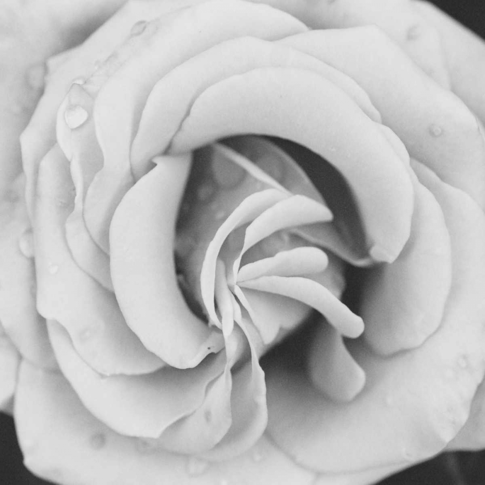 Similar wall art painting: 1112