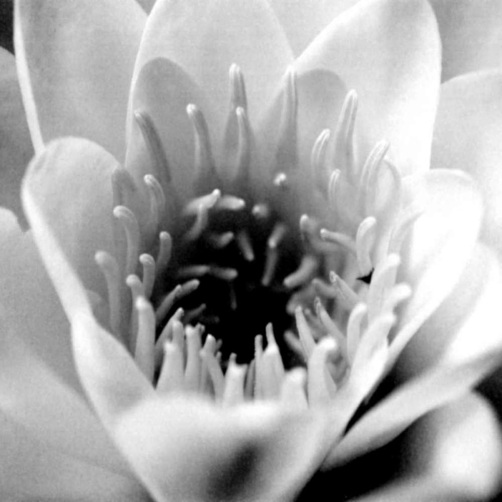 Similar wall art painting: 1113