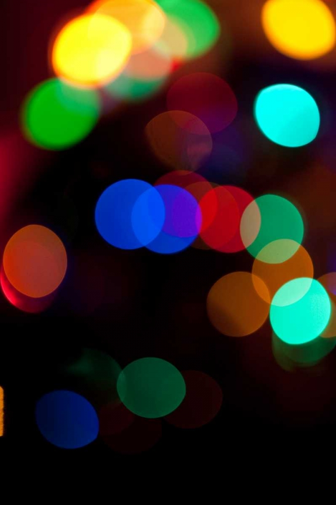 Wall Art Painting id:1462, Name: Colorful Bokeh, Artist: Berzel, Erin